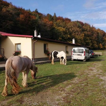 Oddychovy Pobyt Na Rodinnej Farme Matiaska Eksteriør billede