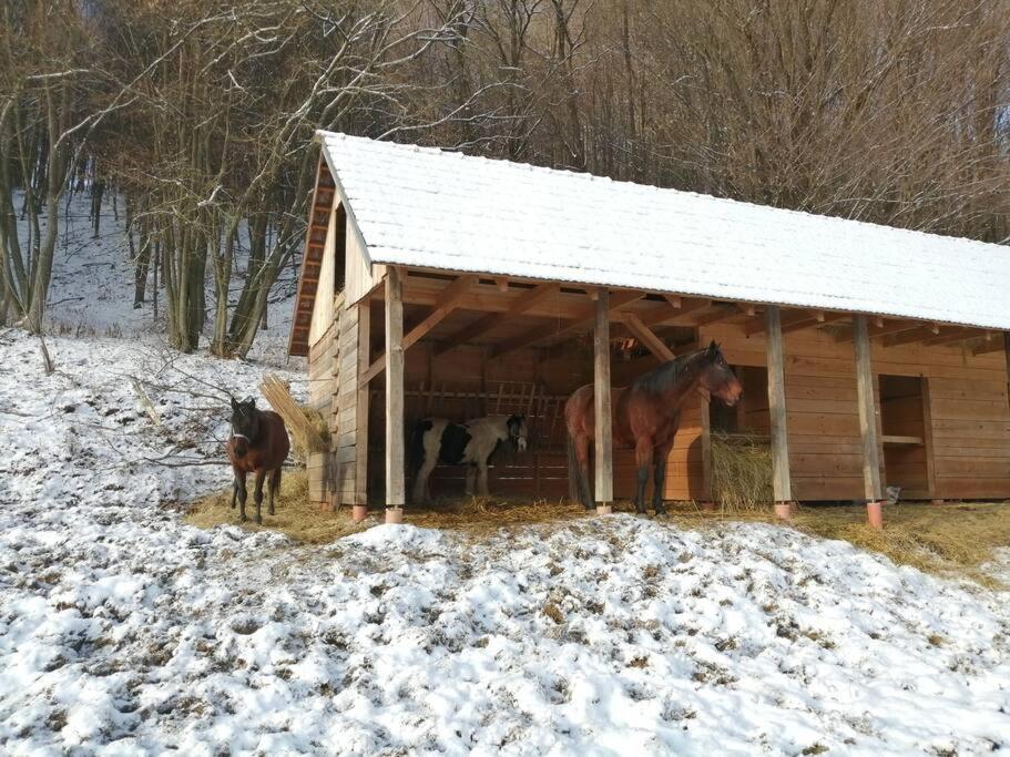 Oddychovy Pobyt Na Rodinnej Farme Matiaska Eksteriør billede